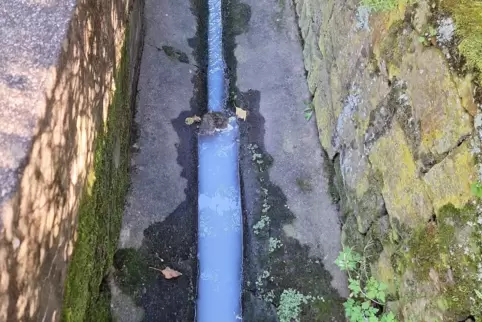 Über Stunden suchte die Feuerwehr nach der Ursache für das weißliche Wasser im Sulzwiesengraben. 