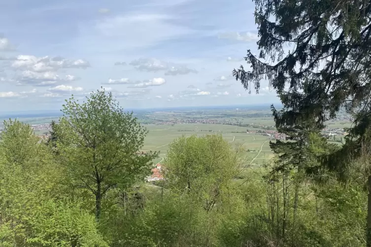 Blick über die Rheinebene vom Schweizer Haus.