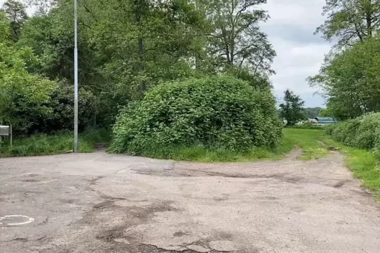 An der Rothenbusch Klause links in den Wald (nördlich des Bachs) oder nach rechts (südlich des Bachs) entlang der Koppeln? Um de