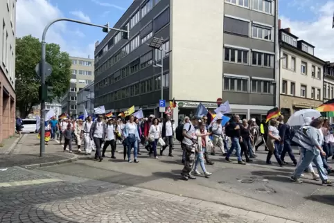 Der Aufzug der „Initiative Hambach24“ führte am Pfingssonntag von der Festwiese zum Schlossberg.