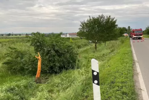 Die Feuerwehr hat ein Foto von der Stelle veröffentlicht, an der das Auto einen Baum getroffen hat. 