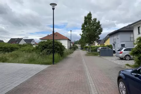 Schwierig: Das graue Pflaster rechts soll den Bereich markieren, auf dem im Gutaweg geparkt werden darf. Die Markierung reicht a