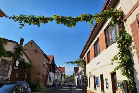 Aktuelle Rebenüberspannungen in der Rathausstraße.