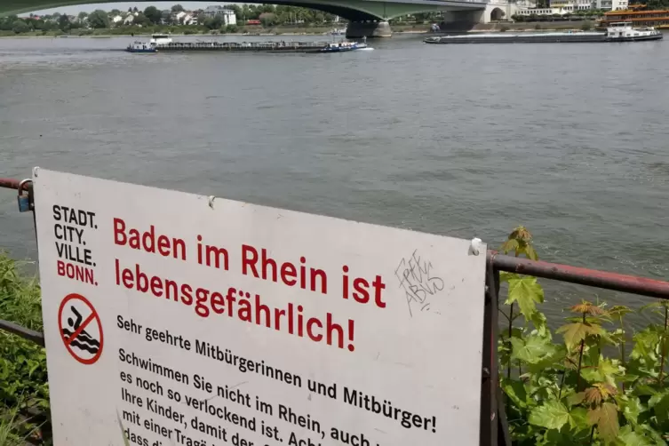 Schilder mit "Baden im Rhein ist lebensgefährlich"