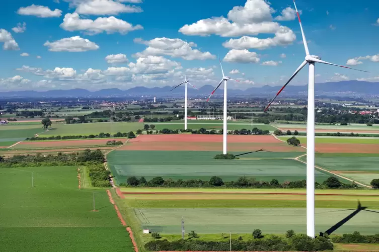 Sollen ersetzt werden: die drei Windräder auf Schwegenheimer Gemarkung. 