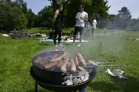 Sommerzeit ist Grillzeit: Auch in der Nähe von Kaiserslautern gibt es einige schöne öffentliche Grillplätze. 