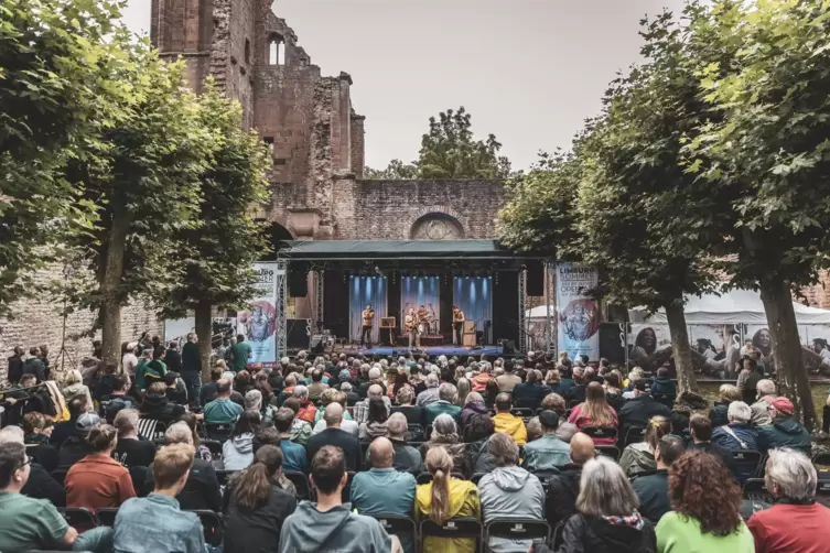 Auch in diesem Jahr einer der Headliner des Konzertprogramms im „Limburg-Sommer“: Gringo Mayer.