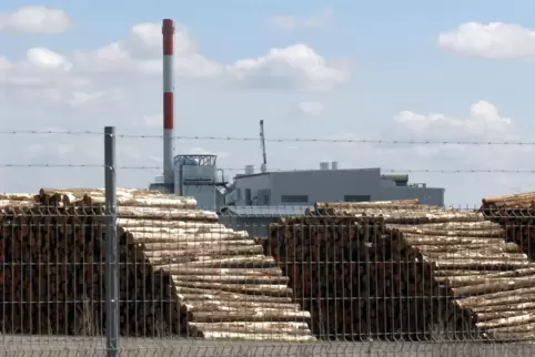 Ebenfalls dem Umweltlabel beigetreten sind das Großsägewerk Rettenmeier in Ramstein-Miesenbach (Foto) und das Holzbauunternehmen