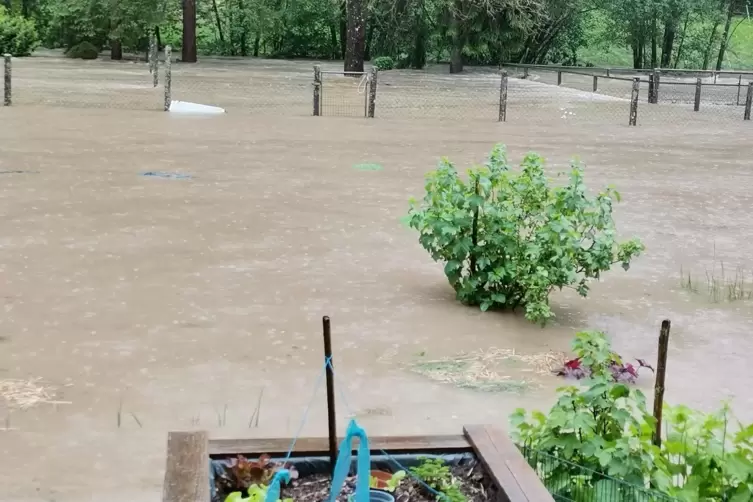 Hochwasser an Pfingsten: Zwischenzweitlich glichen einige Gärten in Mittelbach einem See. 