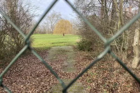 Die Diskussion über die Nutzung des stillgelegten Freibads hat die Parteienlandschaft in Lambsheim gespalten.