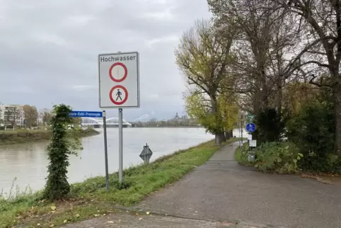 Wann der Pegel rasant steigt, könnte die Promenade gesperrt werden.