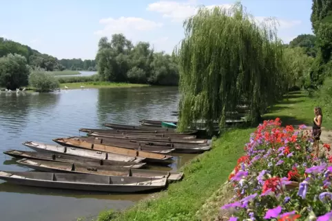 Das Naturschutzgebiet „Delta de la Sauer“ im elsässischen Munchhausen feierte im vergangenen Jahr 25. Geburtstag. 