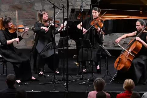 Eine Offenbarung: das Quatuor Zaide beim Konzert am Mittwochabend.