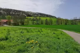 Vorbei an der Alsenz und am Moschelbach geht es mit dem Fahrrad 38 Kilometer durch das Nordpfälzer Bergland. 