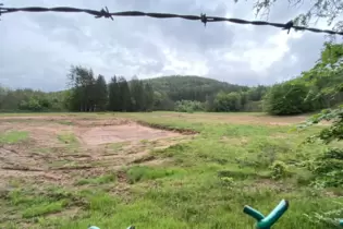 Im vergangenen Jahr wurde die Fläche, auf der sich drei Teiche mit einem Schilfgürtel befanden, eingeebnet, um dort Holzstämme z