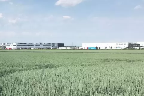 Zwischen Ruchheim und Frankenthal könnte weiteres Ackerland Gewerbe zum Opfer fallen. Am Horizont zeichnet sich das Industriegeb