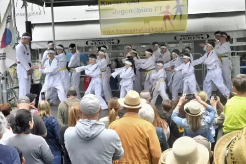 Beherrscht die Abläufe: der Nachwuchs des Tae Kwon Do und Kickboxing Clubs Frankenthal.