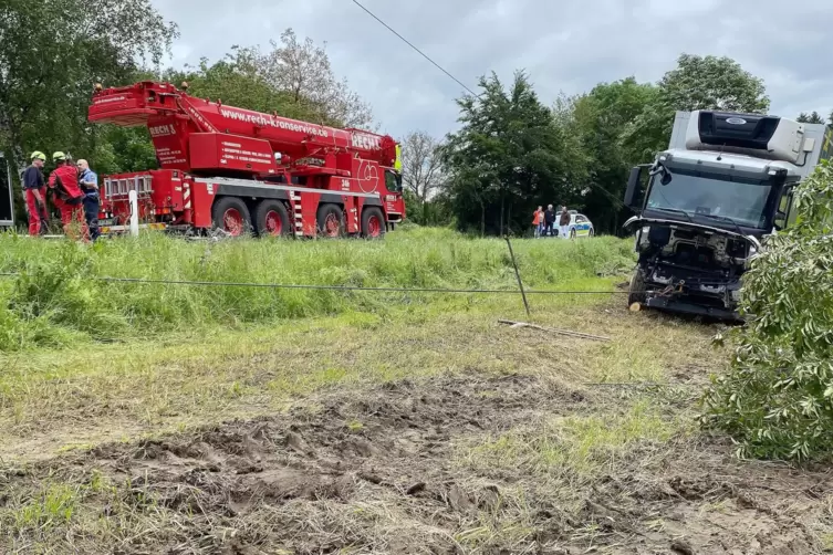 Tiefe Spuren in der Wiese: Die Vertiefungen lassen darauf schließen, dass auf dem nass-schmierigen Untergrund Traktoren vorankom