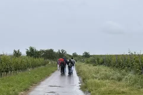 Mit Regenschirm und Dubbeglas unterwegs: Die Schorlewanderschar trotzt dem Regen. 