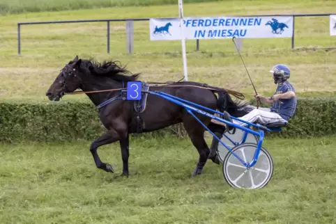 Jochen Holzschuh holte sich mit Itseblitz im zweiten Trabrennen einen deutlichen Sieg. 