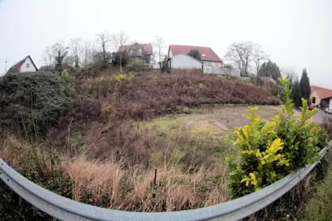 Wird voraussichtlich noch eine Weile Brachfläche bleiben: der Platz an der Luitpoldstraße in Bissersheim, wo bis vor zwei Jahren