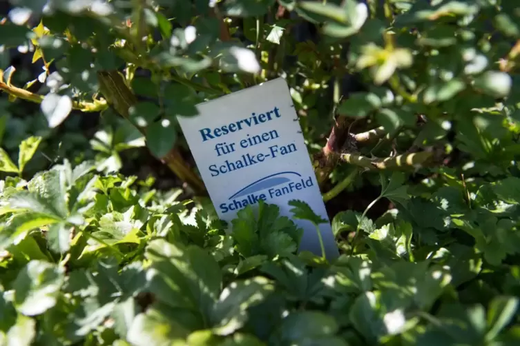 «Schalke FanFeld» auf einem Gelsenkirchener Friedhof