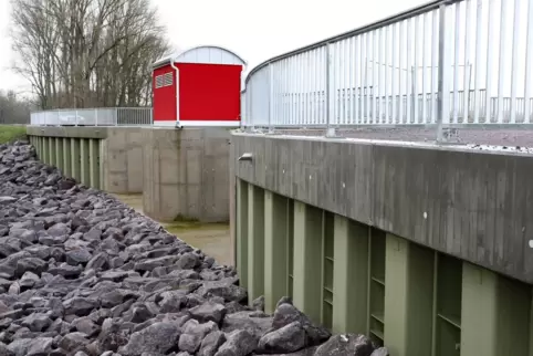 Wird nicht geflutet: der Polder bei Mechtersheim.