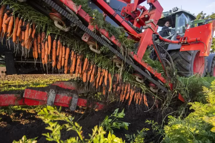 Mit dem Green Deal der EU wurde das Ziel gesetzt, die Fläche des ökologischen Landbaus bis 2030 auf 25 Prozent der landwirtschaf