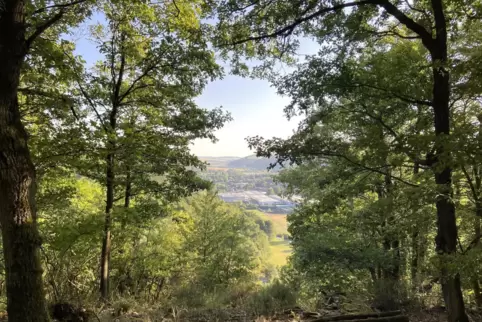 Auch der Wald bei Lauterecken wird in der Karte erfasst werden. 