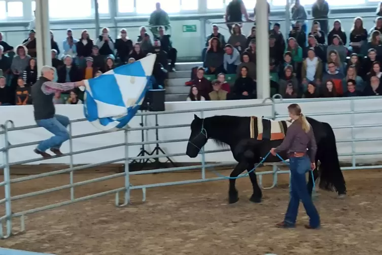 „Ein Pferd, das gestresst ist, kann nicht lernen.“ Diesen und weitere Tipps gaben „Die Pferdeprofis“ bei ihrem Besuch in Zweibrü