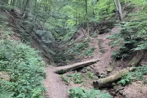 Bruchmühlbach-Miesau hat unter anderem für Wanderer einiges zu bieten – beispielsweise die Elendsklamm.