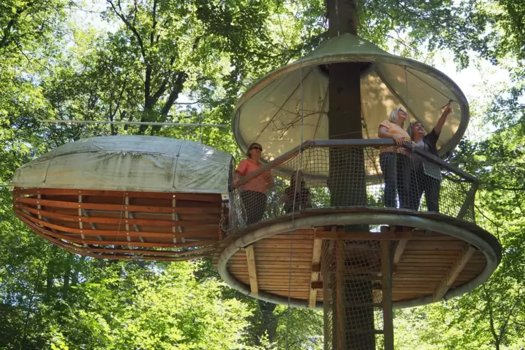 Im Binger Wald: „Erlebnest“ des Outdoorparks Lauschhütte.