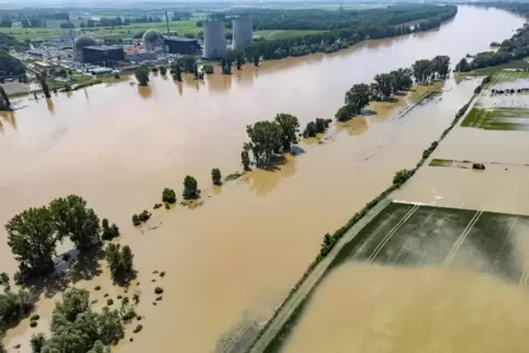 Das Hochwasser des Rheins hat landwirtschaftliche Flächen am abgeschalteten Atomkraftwerk im südhessischen Biblis überflutet. 