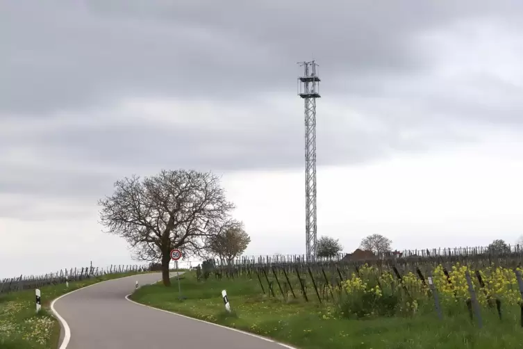 Ein 5G-Mast bei Mörzheim. 