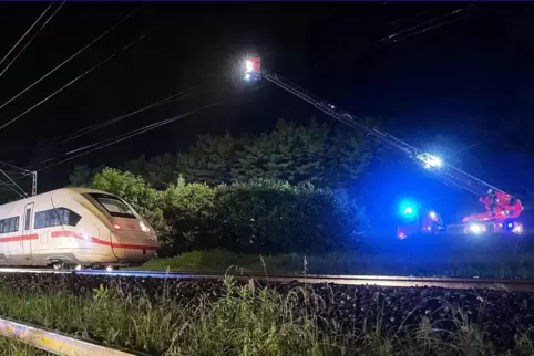 Eine Reisegruppe von 14 Eisenbergern saß im entgleisten ICE in der Nacht zum Sonntag. Hier leuchtet die Feuerwedhr die Einsatzst