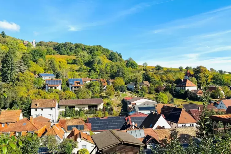 In Leinsweiler wurde an die Haushalte auch eine „Hilfsliste“ verteilt.