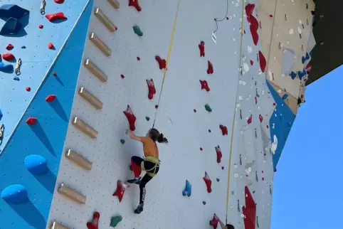 Letzte Wettkampfsimulation vor dem Jugendcup: Die Kletterschüler des HHG üben an der Speedwand. 