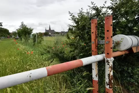 Blick auf das Areal in Geinsheim, das bebaut werden soll. 