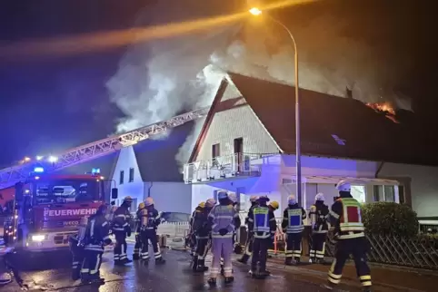 Etliche Feuerwehrleute kämpften im November gegen die Flammen. 