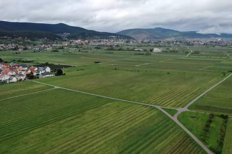 Der neue Betrieb ist am Ortsrand, etwa 110 Meter vom Ölgässel entfernt (links im Bild), geplant. Rechts vorne ist die Abzweigung