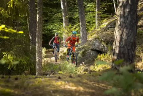 Auch für die Pfalz Touristik ist Mountainbiking ein Riesenthema. 