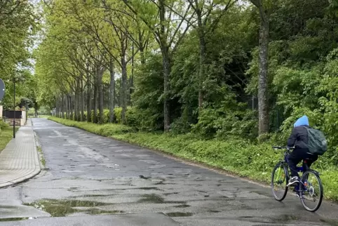 In der Straße im Vogelsang hat der Verkehr zugenommen. 