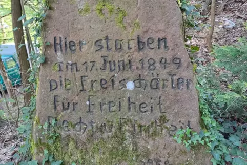 Gedenkstein an die Schlacht am 17. Juni 1849. 