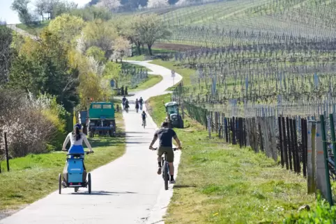 Die Deutsche Weinstraße ist nicht nur schön, sondern darf sich auch ganz offiziell „Nachhaltiges Reiseziel“ nennen. Das Foto zei
