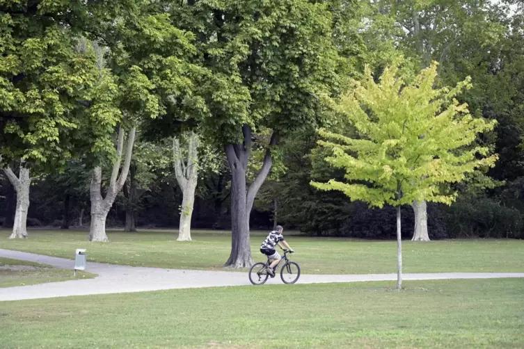 Der Oppauer Park sollte aufgewertet werden.