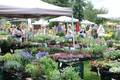Über 70 Aussteller rund ums Thema Garten sind dabei. Das Foto zeigt den Markt im Herbst 2023. 
