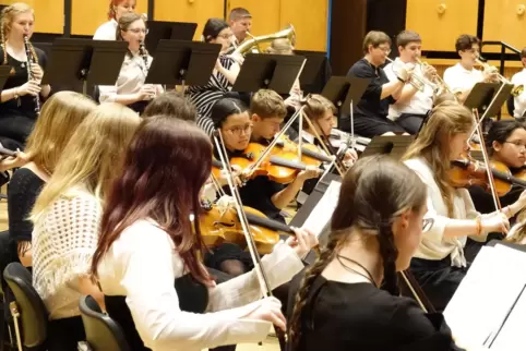 Die Kreismusikschule des Landkreises beim Frühlingskonzert des Jugendsinfonieorchesters. 