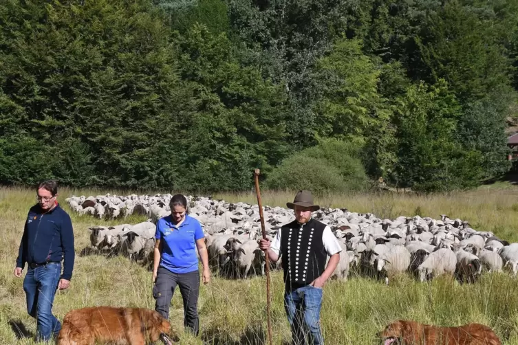 Sind seit Jahren miteinander im Gespräch: Wanderschäfer Sven Keller (Busenberg) sowie Helmut Schuler und Anna-Maria Marsteller v