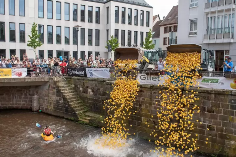 Entenrennen: Startschuss für über 4000 gelbe Enten. 