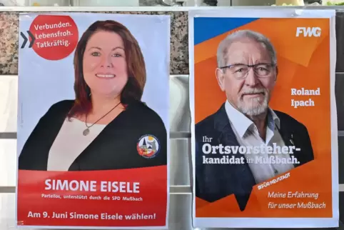 Die Plakate von Simone Eisele und Roland Ipach bleiben bis 23. Juni hängen.